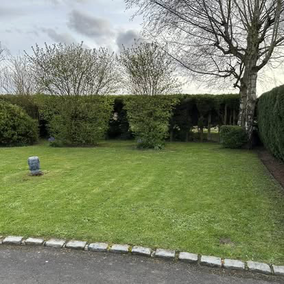 Jardin entretenu et tondu
